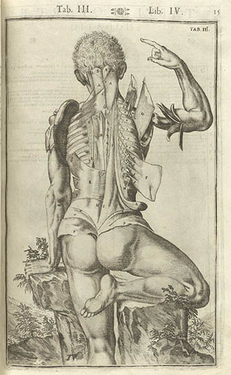 Tabulae Anatomicae, click for larger image