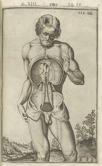 Tabulae Anatomicae, click for larger image