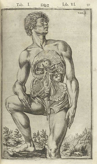 Tabulae Anatomicae, click for larger image