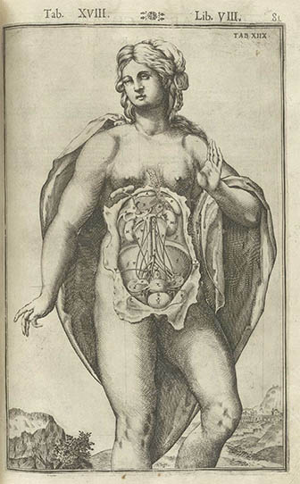 Tabulae Anatomicae, click for larger image