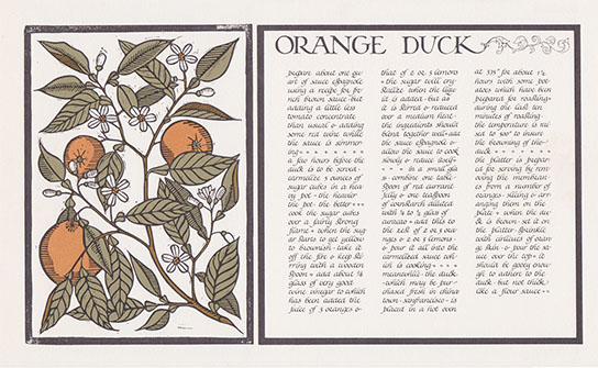 Orange Duck, click for larger image