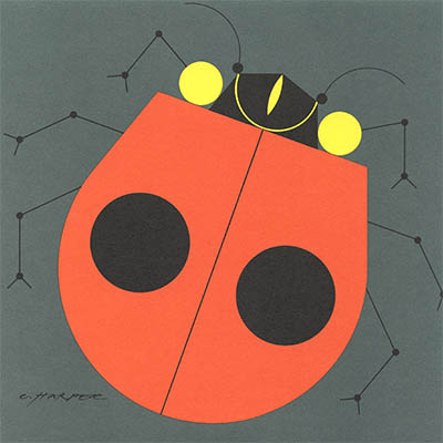 Ladybug, click for larger image
