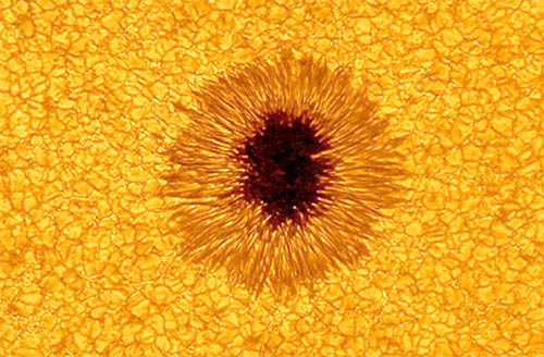 Sunspot, click for larger image