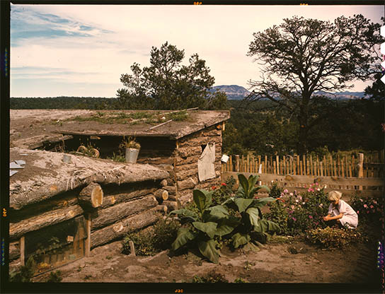 Kodachrome, click for larger image