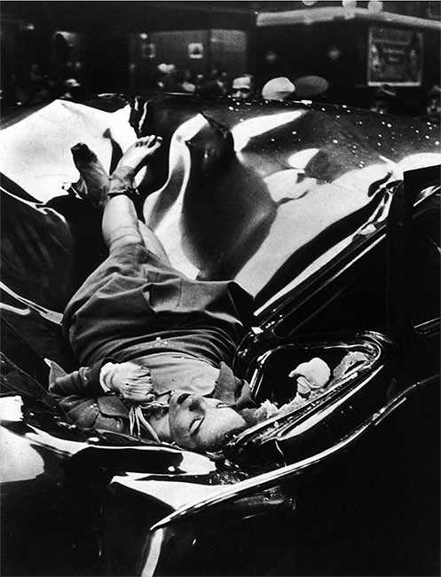 Evelyn McHale, click for a larger image