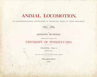 Animal Locomotion, click for larger image