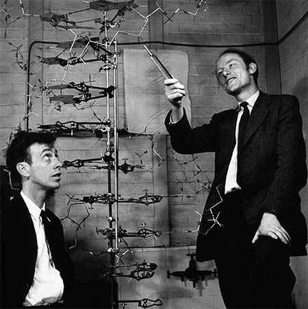Watson and Crick, 1953,, click for larger image